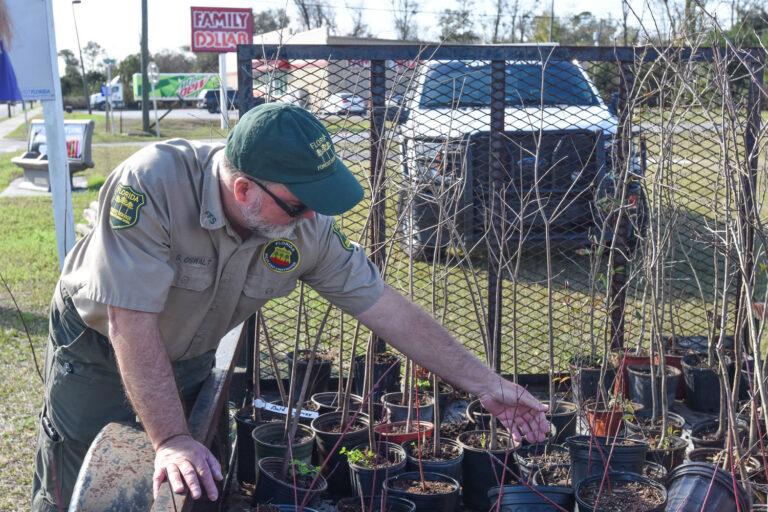 Florida Forest Service distributes trees for Arbor Day