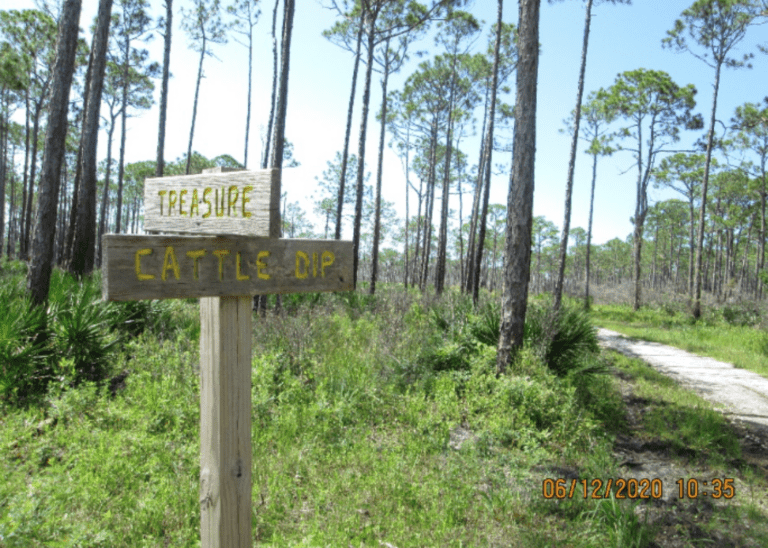 Explore the Cattle Dip Road trail for a glimpse at local history
