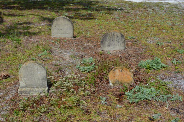 City to adopt new mowing schedule to protect endangered plant species, preserve historic cemetery