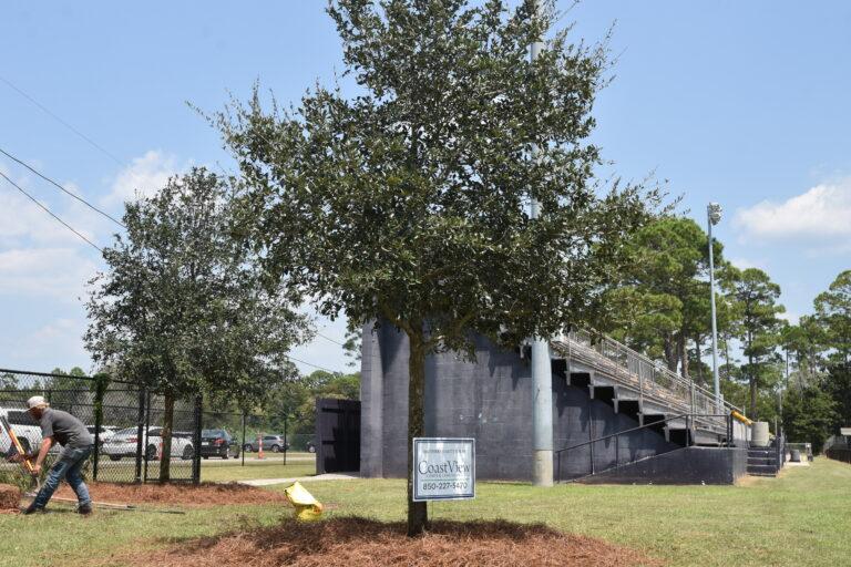 ‘Standing as sentinels’ — Trees planted at football field in remembrance of students lost