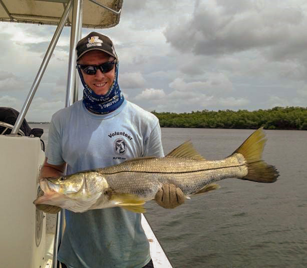Recreational harvest of snook re-opens