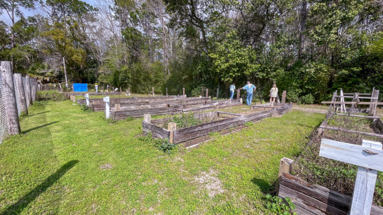 Auburn students tackle Gulf County garden site