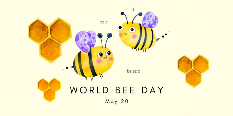 Celebrating the sweet impact of bees 