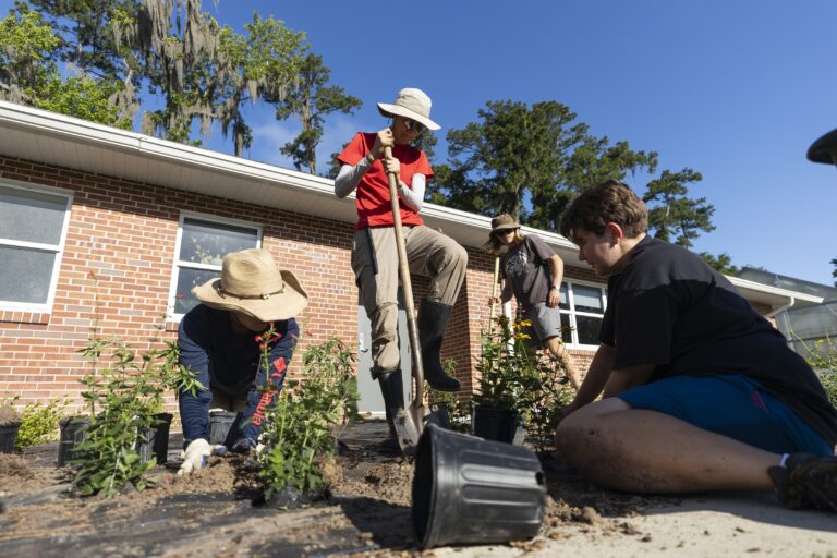 Award created for Florida-friendly landscapers