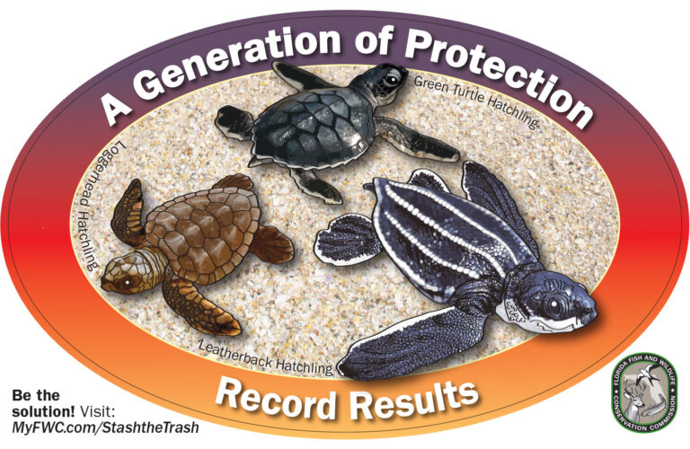 New FWC decals help protect manatees, sea turtles