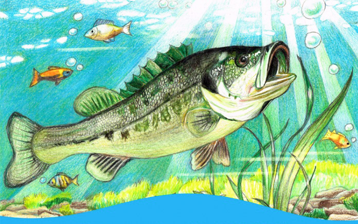 Young artists sought for state’s Fish Art Contest