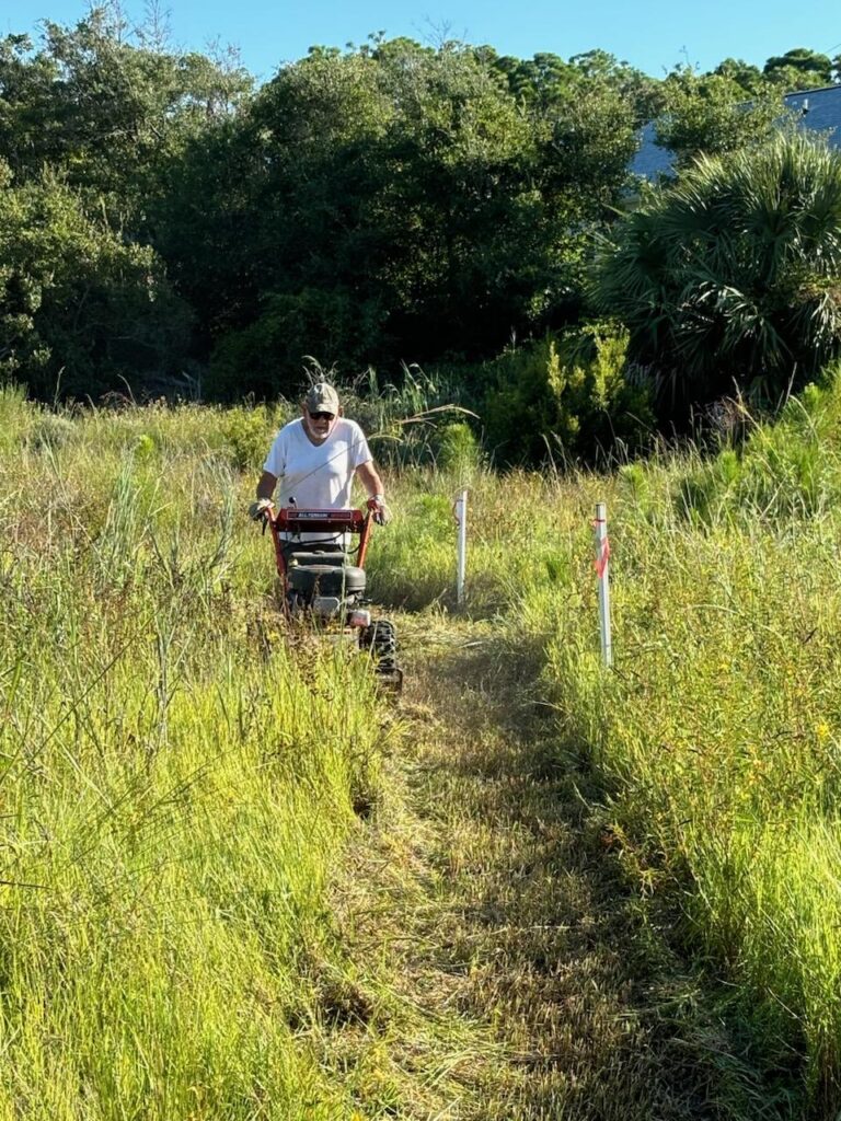 Volunteers needed to restore habitat at Salinas Park