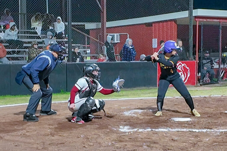 Lady Tiger Sharks one-hit Wewahitchka