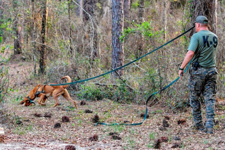 Sergeants graduate from K9 Tracking Team Academy