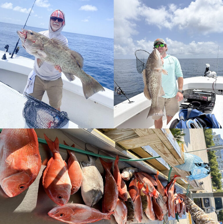 Forgotten Coast Fishing Report