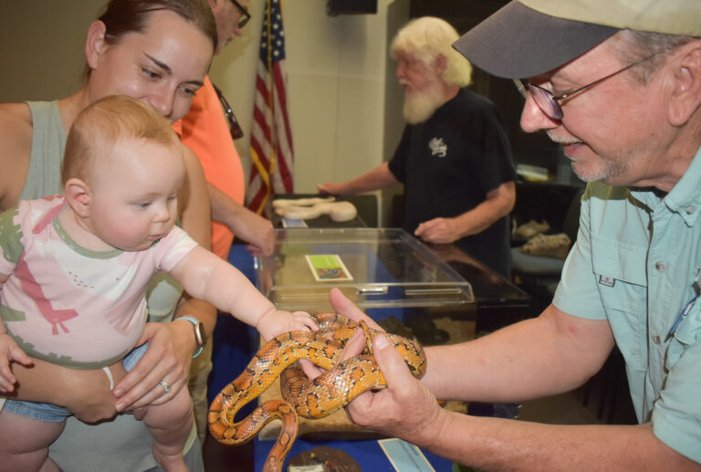 Curious kids snake through Estuaries Day